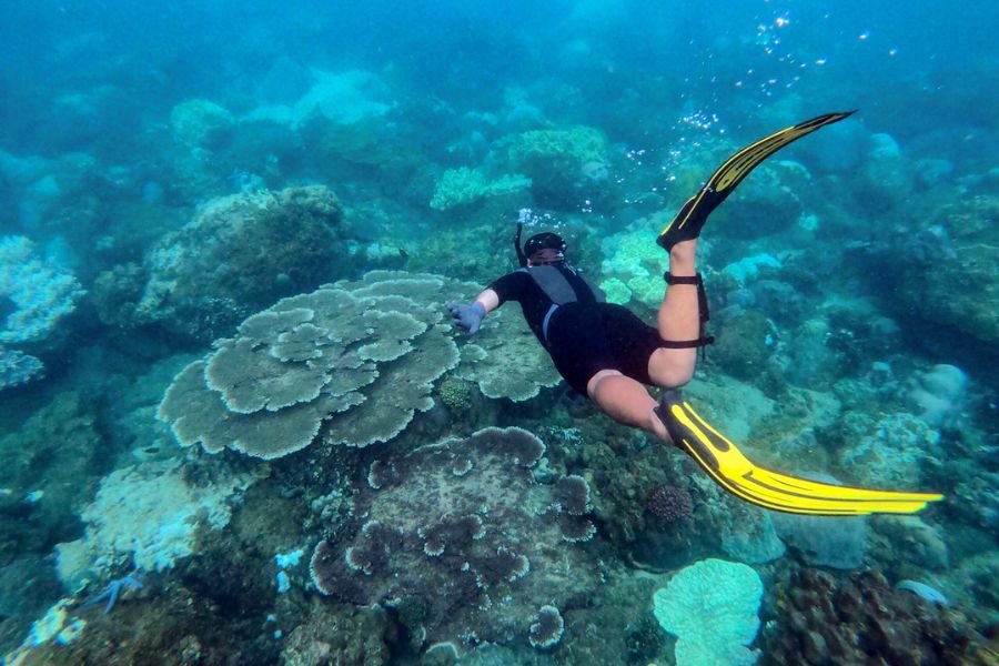 🌊 코바마 해수욕장 (코바마 카이스이요쿠조) 이미지 4